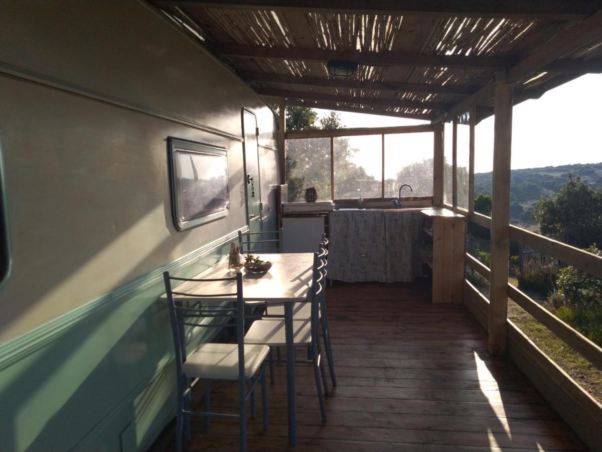 La Cera Farm Camping B&B Santa Teresa Gallura Exterior photo