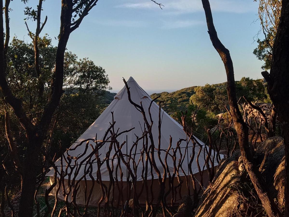 La Cera Farm Camping B&B Santa Teresa Gallura Exterior photo