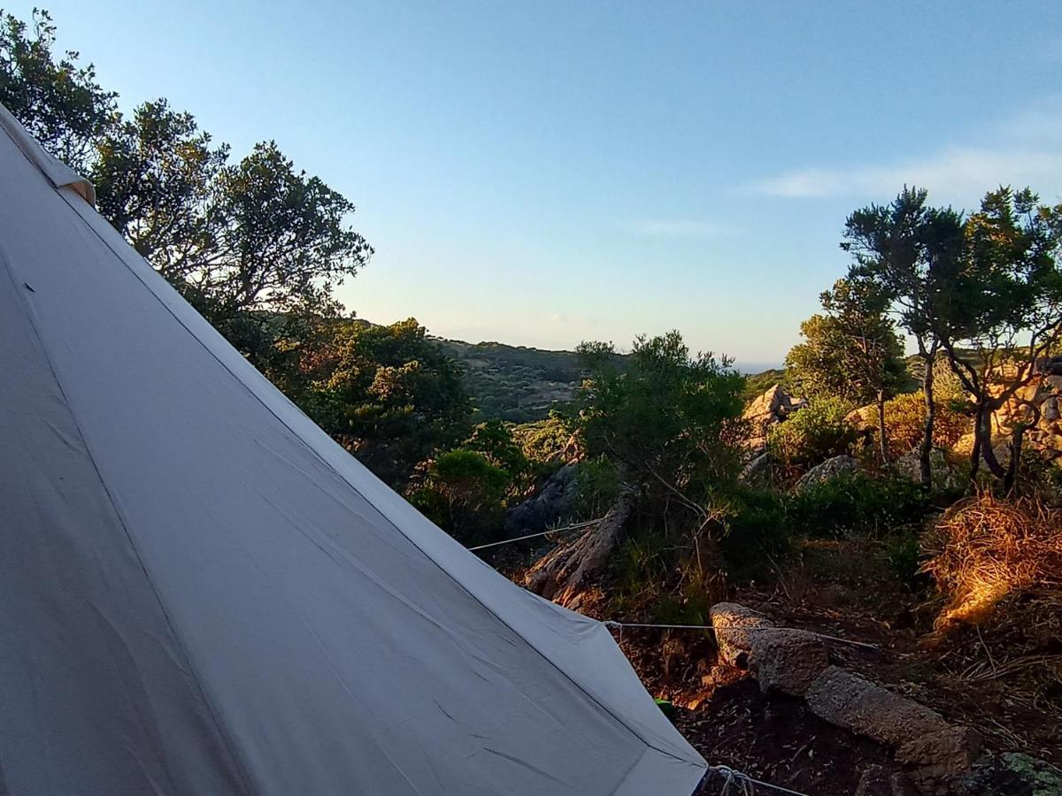 La Cera Farm Camping B&B Santa Teresa Gallura Exterior photo
