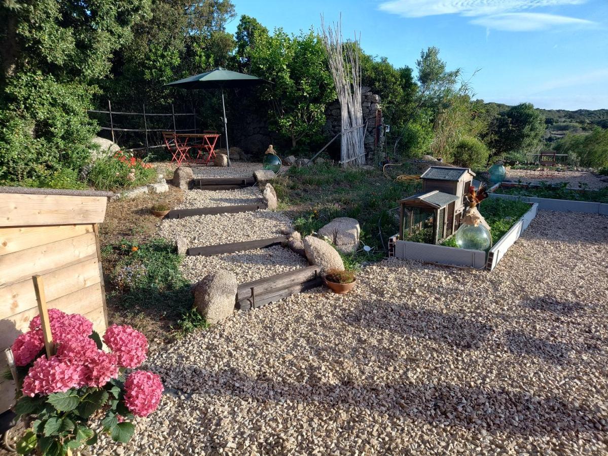 La Cera Farm Camping B&B Santa Teresa Gallura Exterior photo
