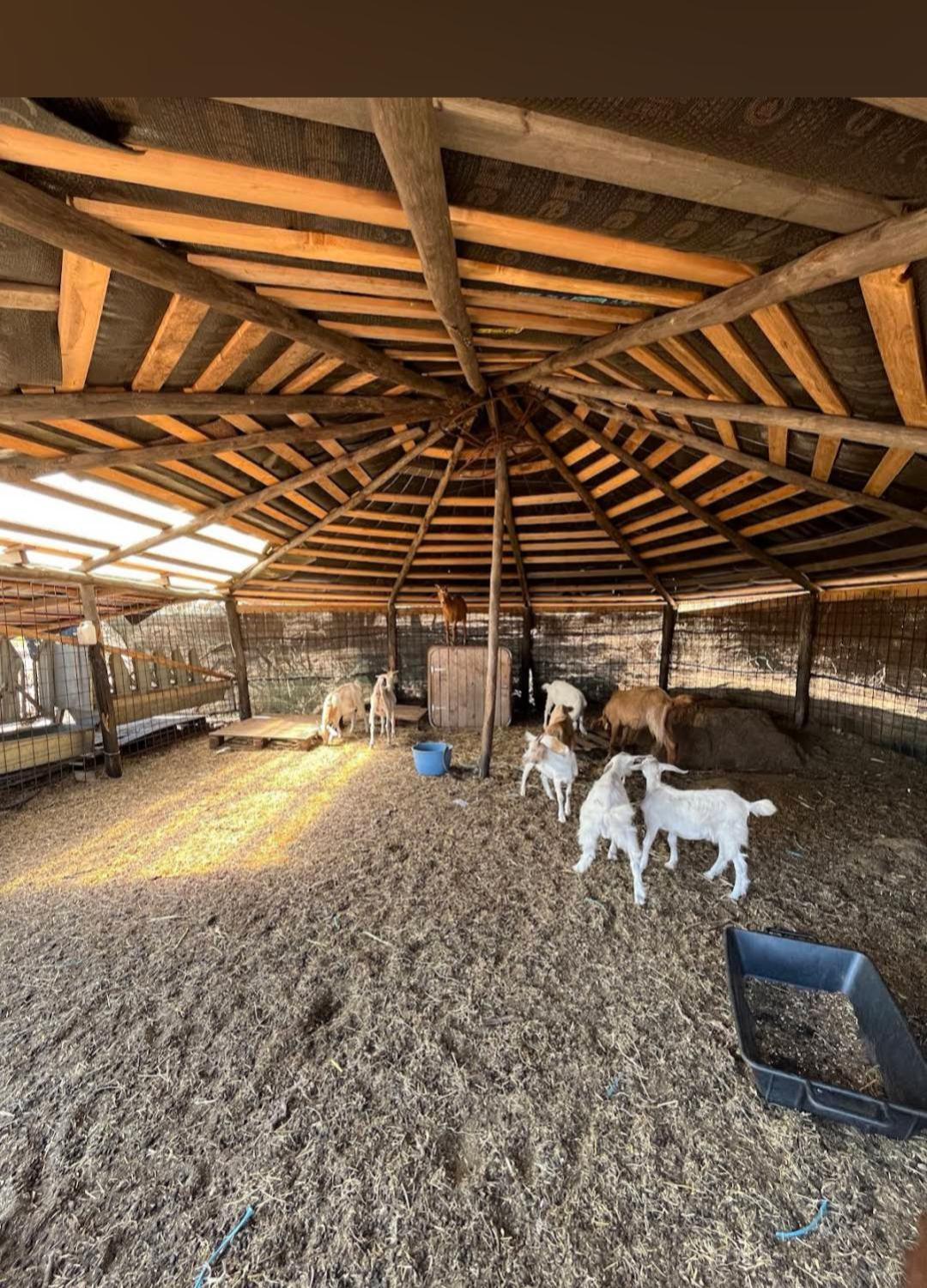 La Cera Farm Camping B&B Santa Teresa Gallura Exterior photo